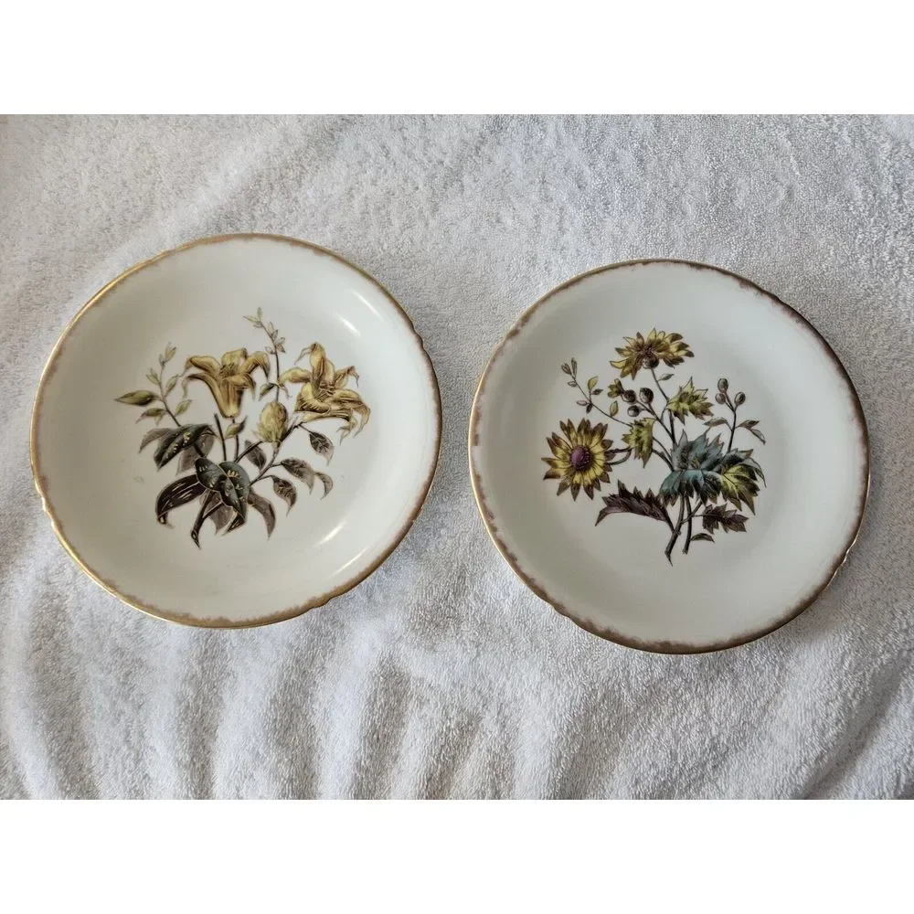 2 Antique Limoges Plates 8